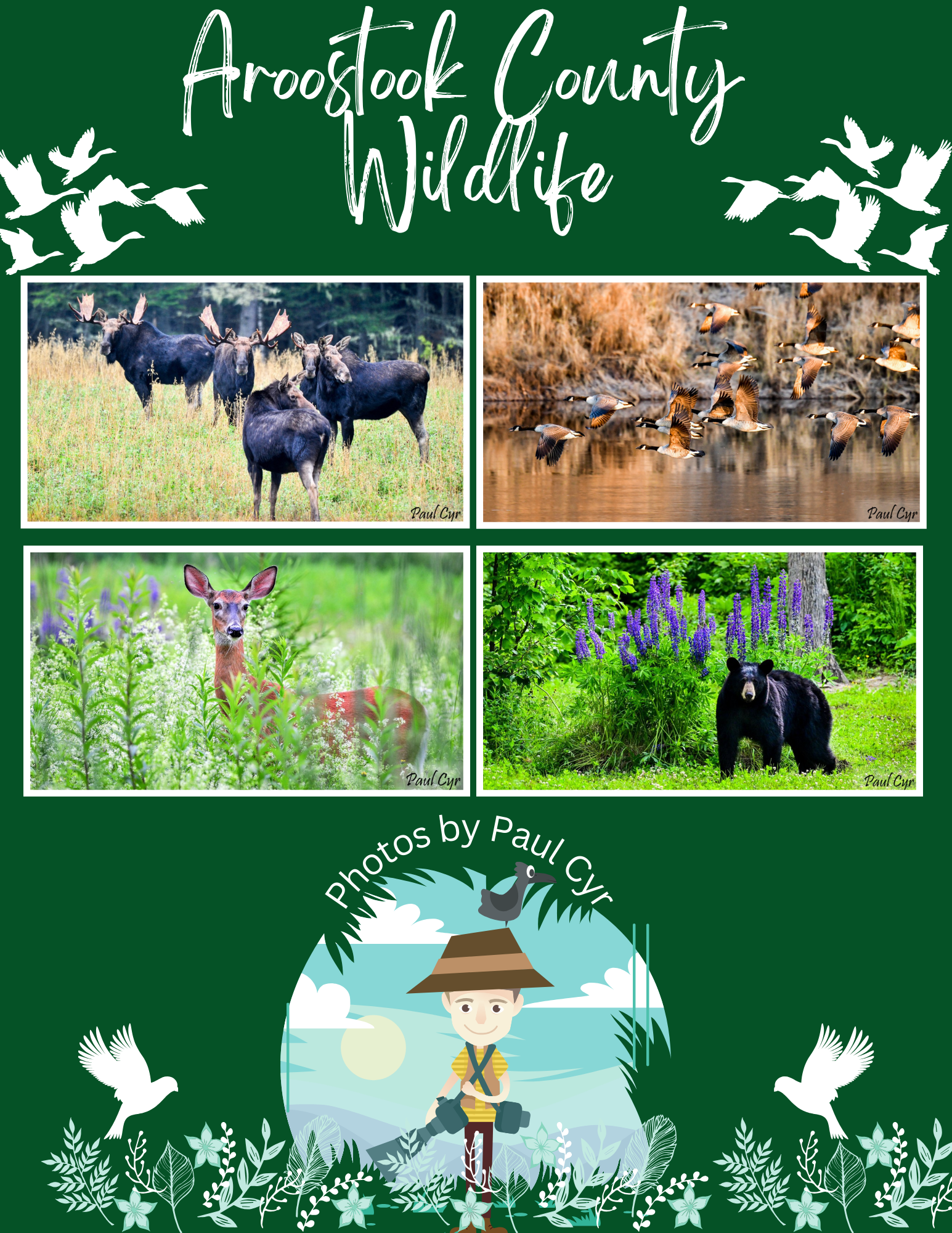 Northern Maine's Beauty - Fish River Rural Health